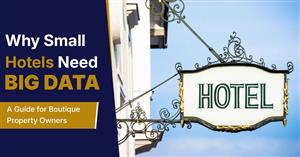 Why Small Hotels Need Big Data: A Guide for Boutique Property Owners.